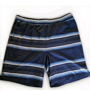 SPEEDO Striped Navy Blue Swim Shorts